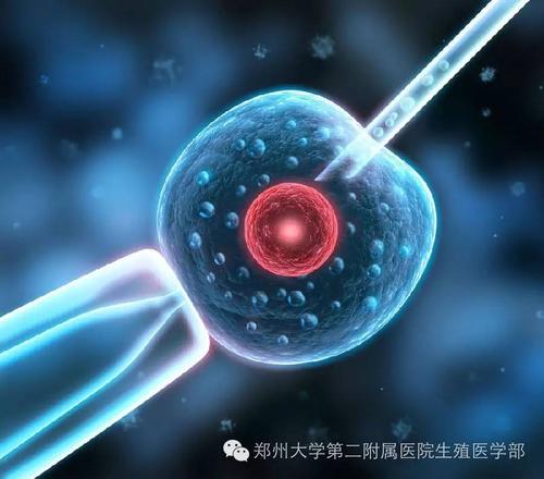 青岛双胞胎助孕花费:先天性宫颈性不孕有多少种类型？