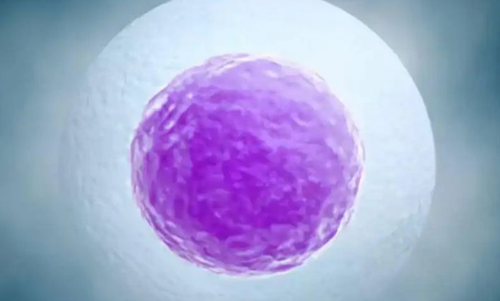 淮安供卵试管助孕包生男孩价格：体外受精（IVF）检查是有顺序的，如果你想用冷冻胚胎生第二个孩子，所有的检查都必须完成